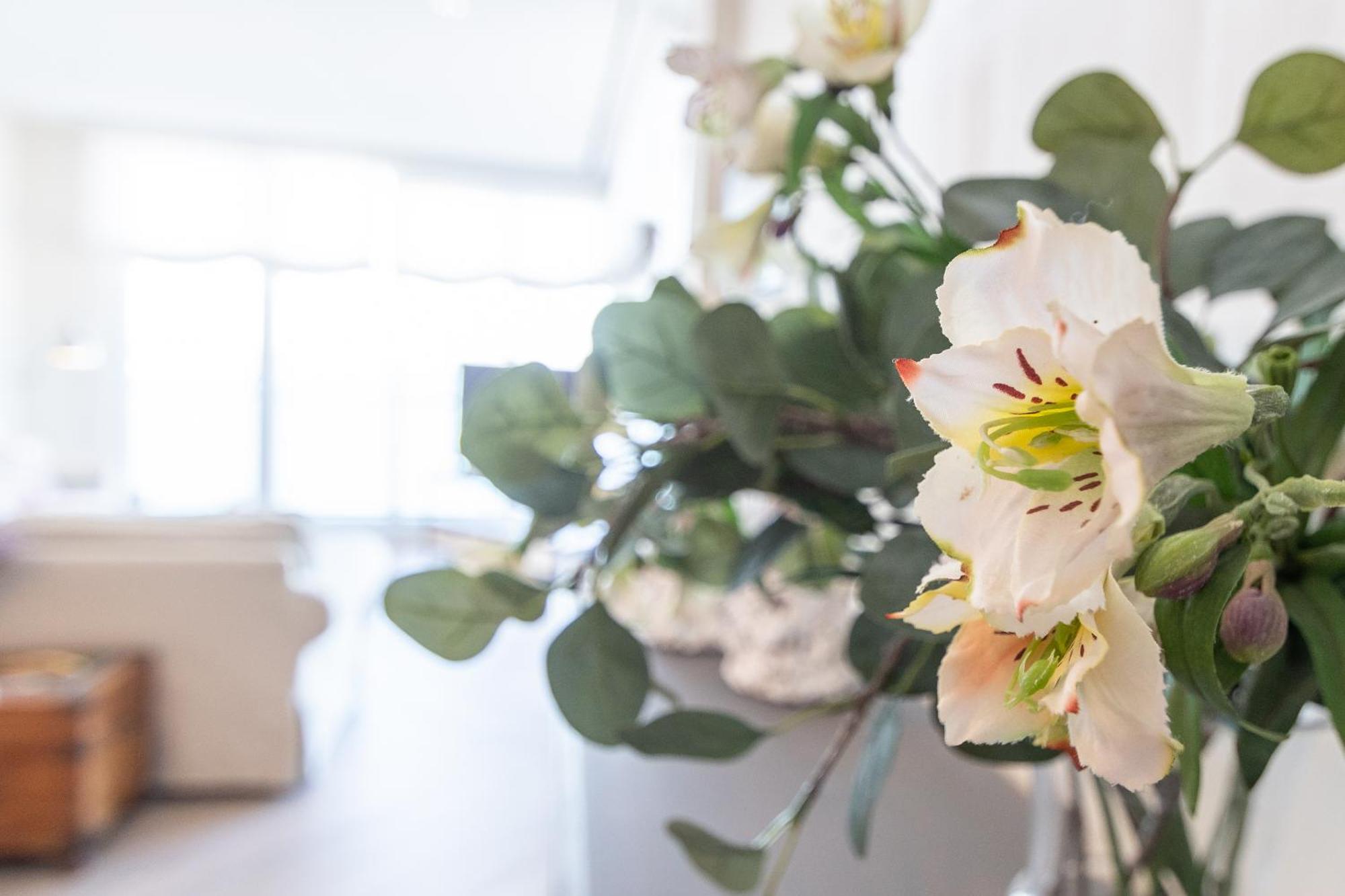 Phoenix Luxury Loft カディス エクステリア 写真